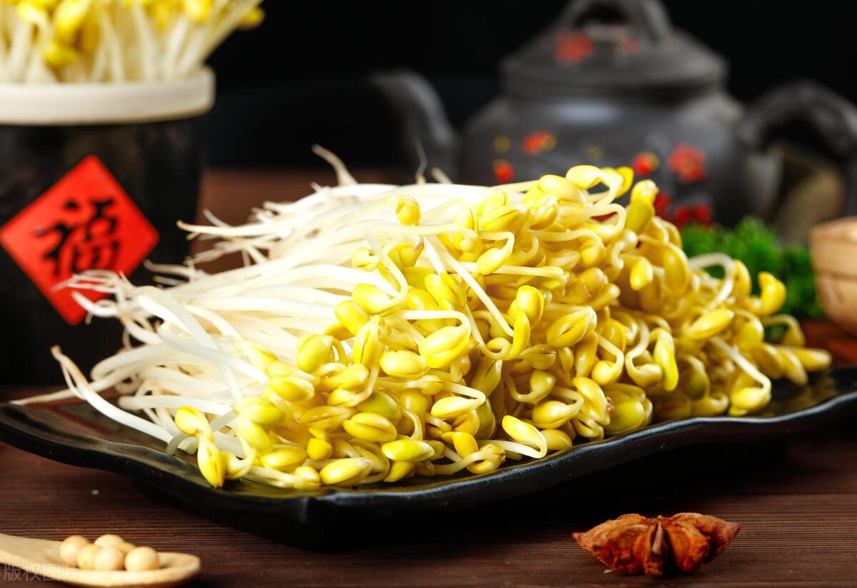 豆芽烂根是什么原因,家里豆芽烂了怎么快速补救