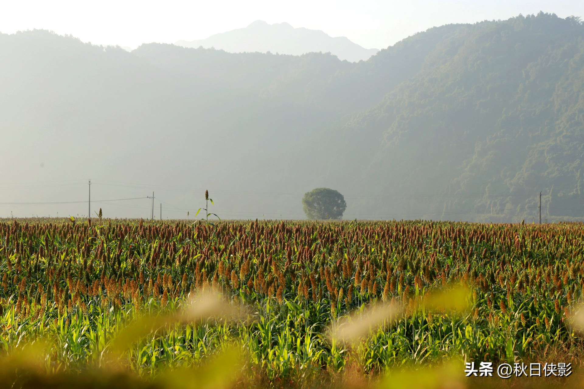 杭州周边秋日赏景好去处,杭州周边当季旅游景点推荐
