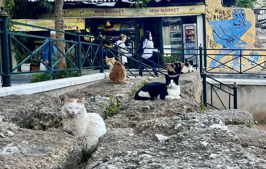 雅典选什么宗教,雅典追求什么教育