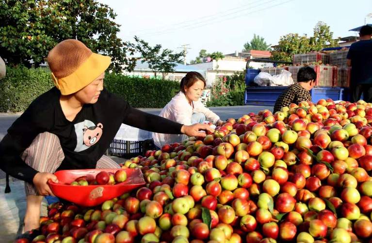 南阳市哪些县老百姓存钱多？内乡、西峡、淅川前三名
