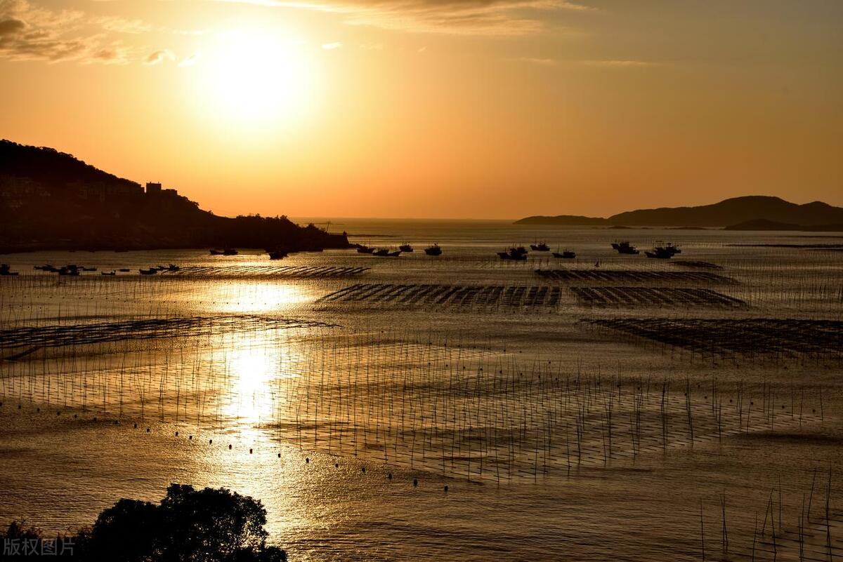 宁德福鼎十大特产,宁德福鼎肉片老字号