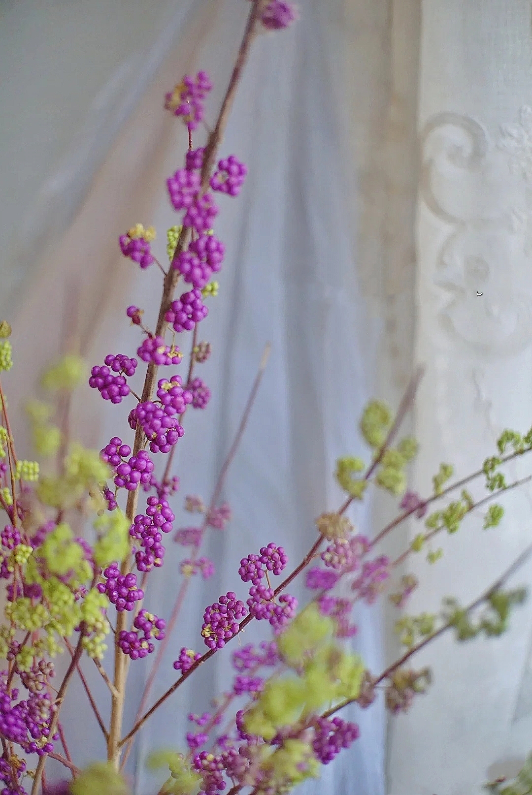 花艺教程花材打理知识,花艺教程常用花材及叶材有哪些