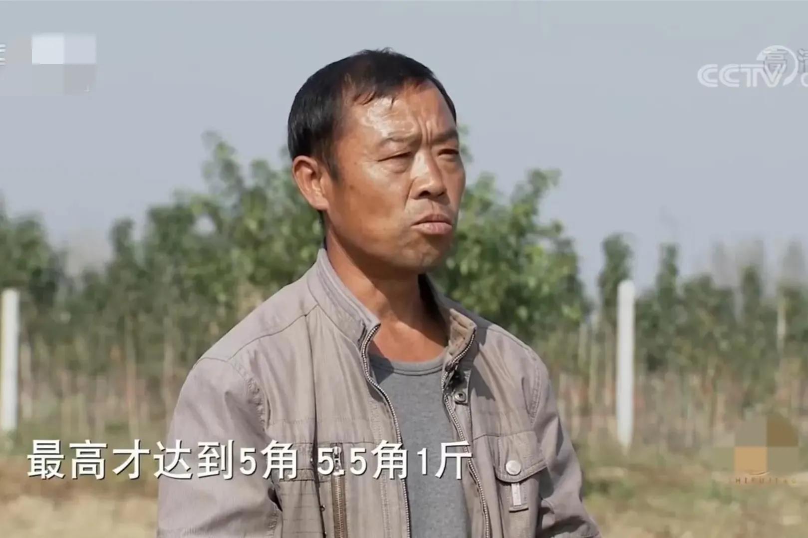 小伙将废品做成工艺品,湖北小伙一年狂赚80亿