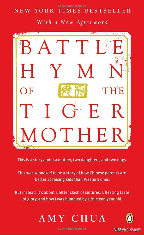 怎么选择适合孩子的国际学校,国际学校怎么学中文