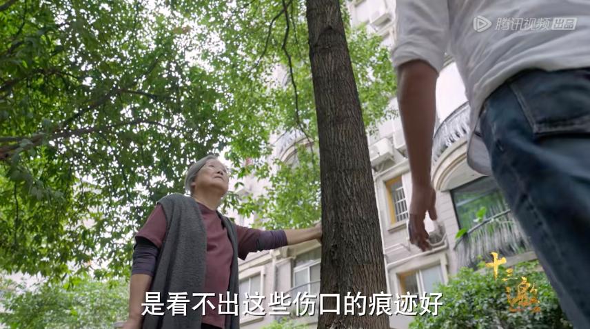 一集飙升9.5分，最惦记的国产良心回来了！