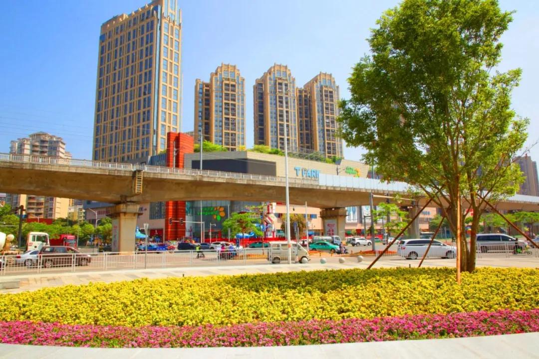 高颜值健身型男究竟怎么炼成的,高颜值是怎么形成的