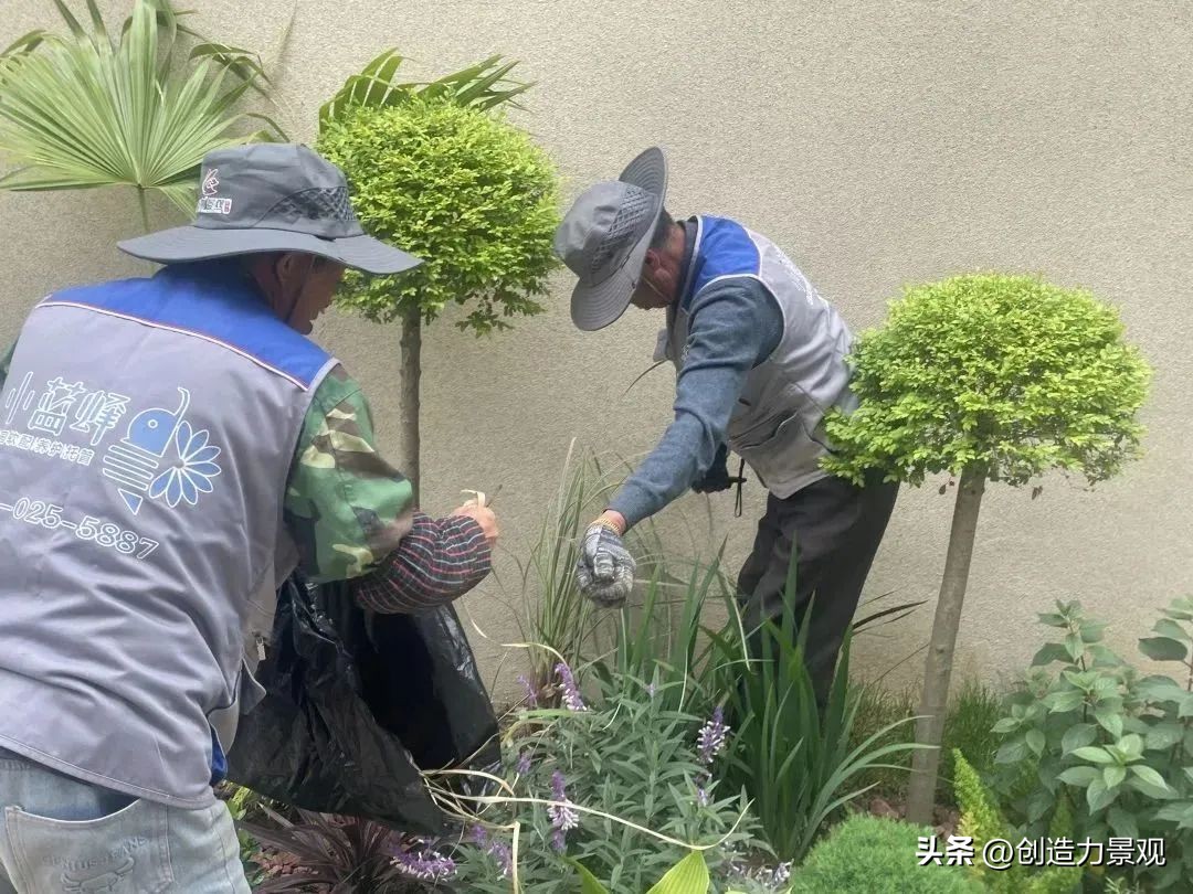 “满园春色”老客户回访日——最美人间四月天，不负*光春**不负你