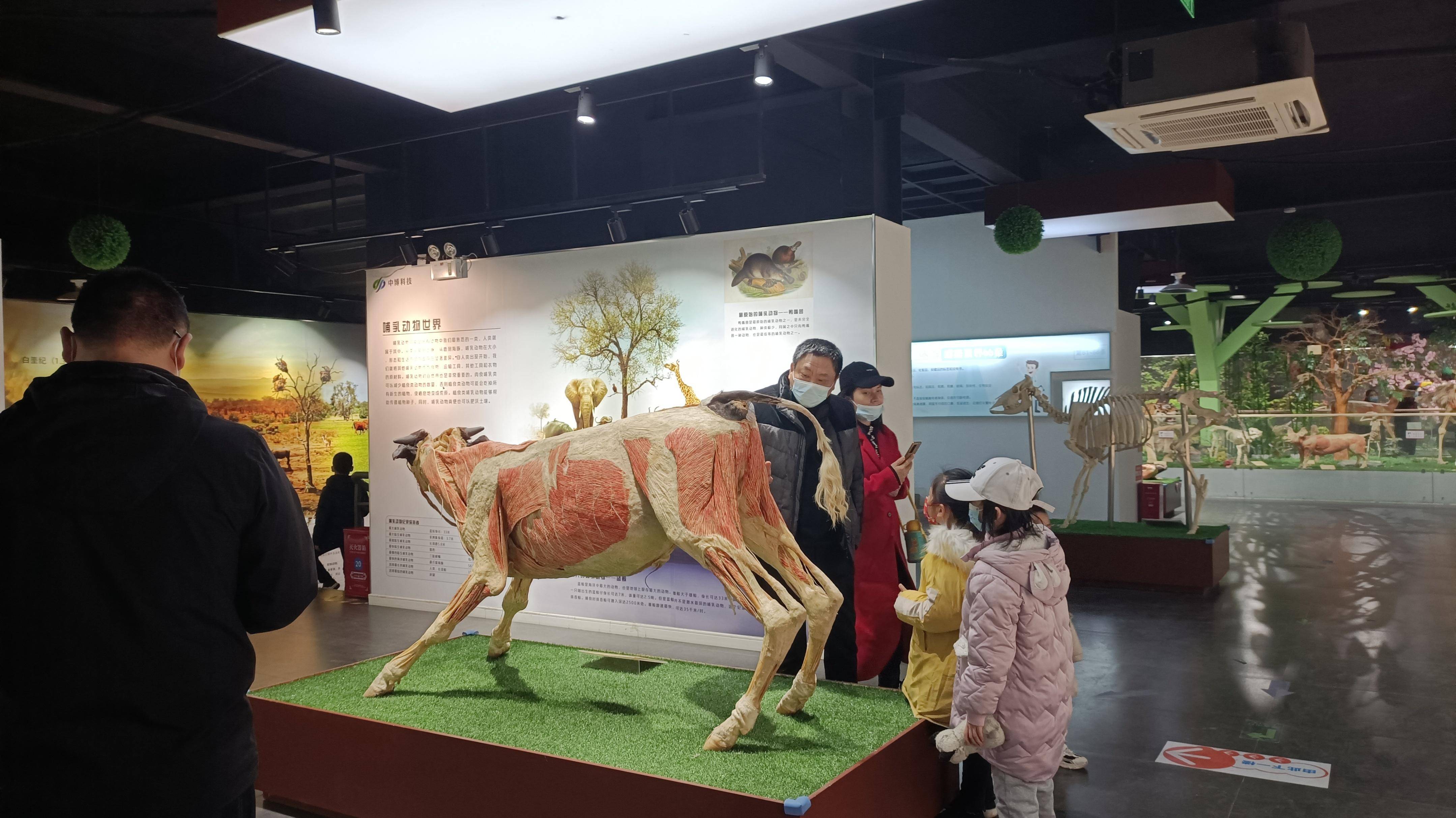 郑州九区遛娃游玩排行榜前十名,郑州遛娃打卡地点推荐