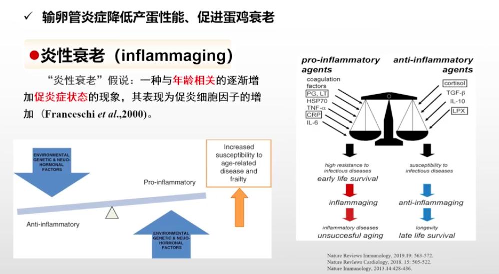 中农优嘉饲料好在哪方面,中农优嘉预混料质量怎么样