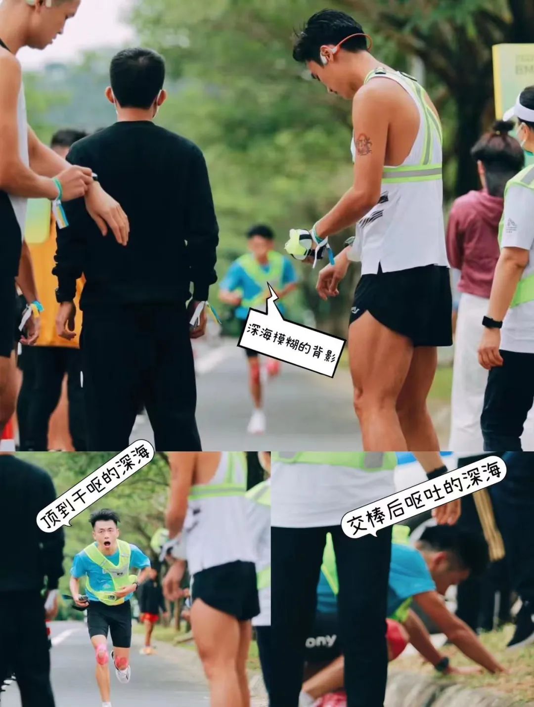 越山向海解析,越山向海深度解析