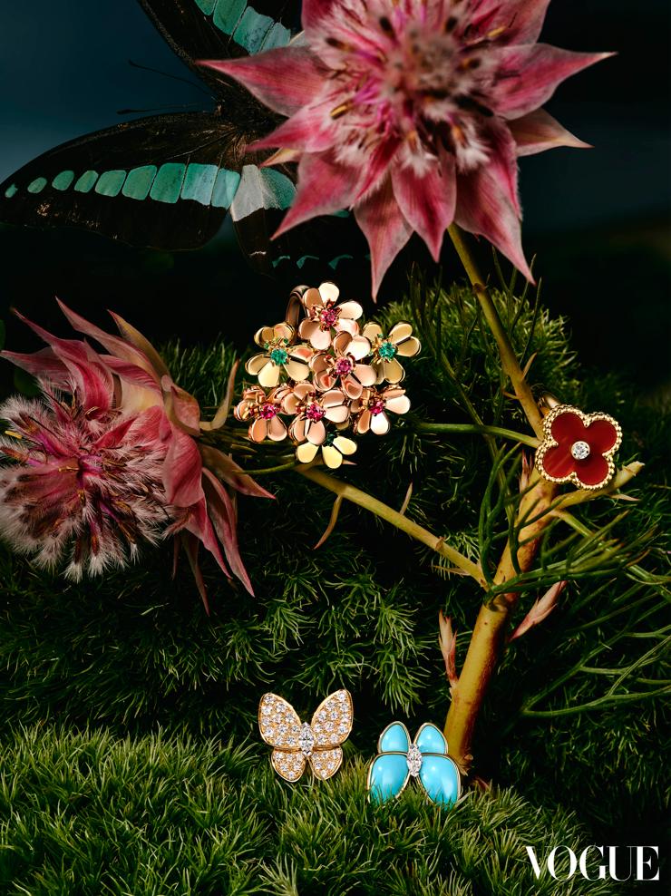 为什么名媛贵妇都爱钻石？2023年流行这5种…