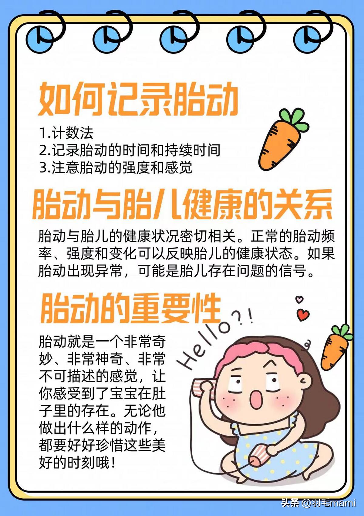 何时胎动感受明显,用手如何感受胎动