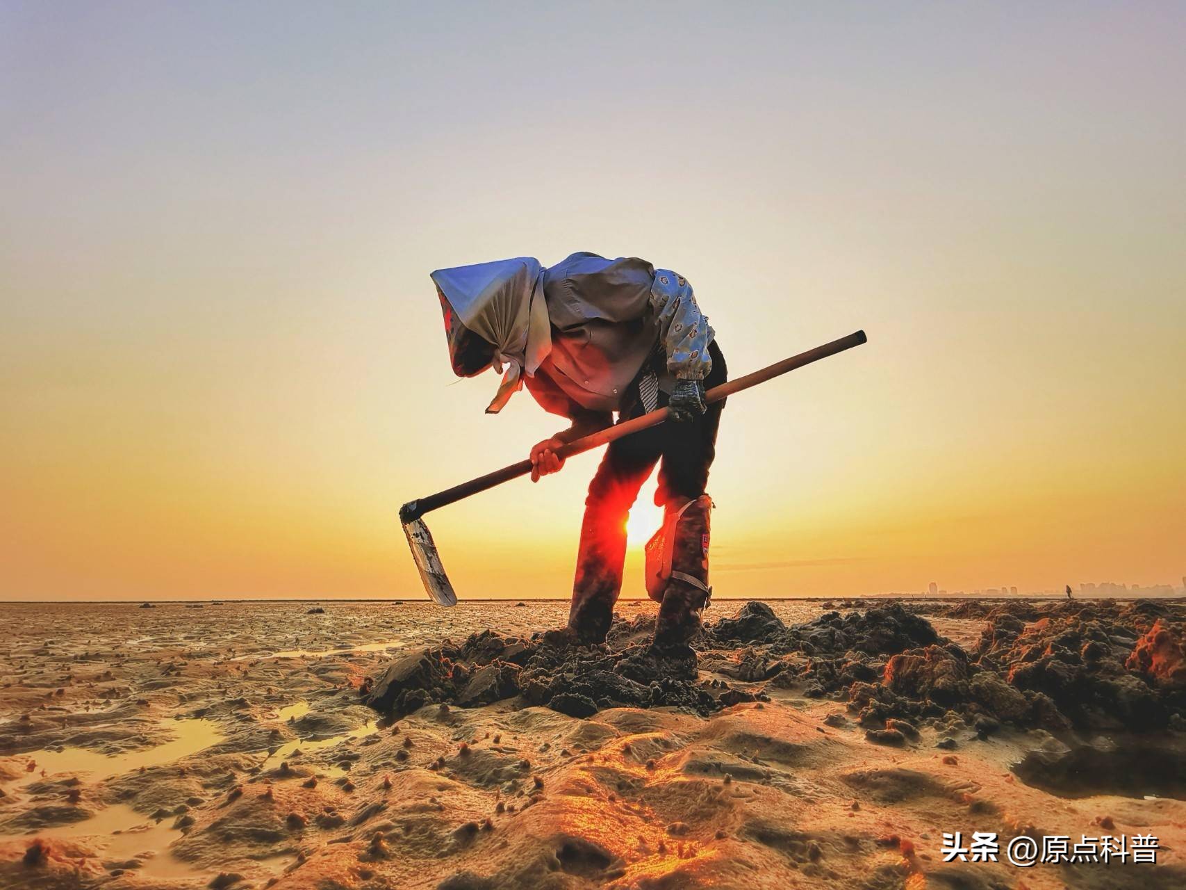 2022赚钱不起眼行业,盘点不起眼挣大钱的职业