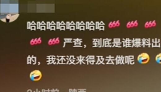 春日生活打卡季进不去,春日生活打卡季视频全屏