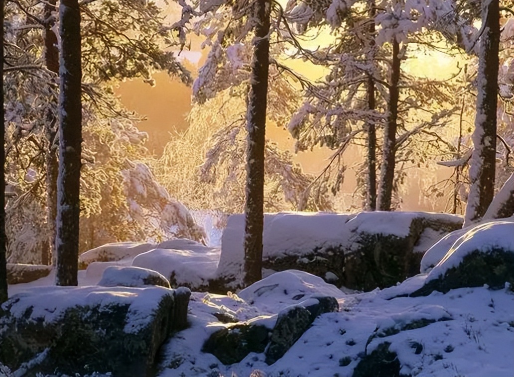舒伯特冬之旅纯音乐,舒伯特冬之旅是艺术歌曲还是歌剧