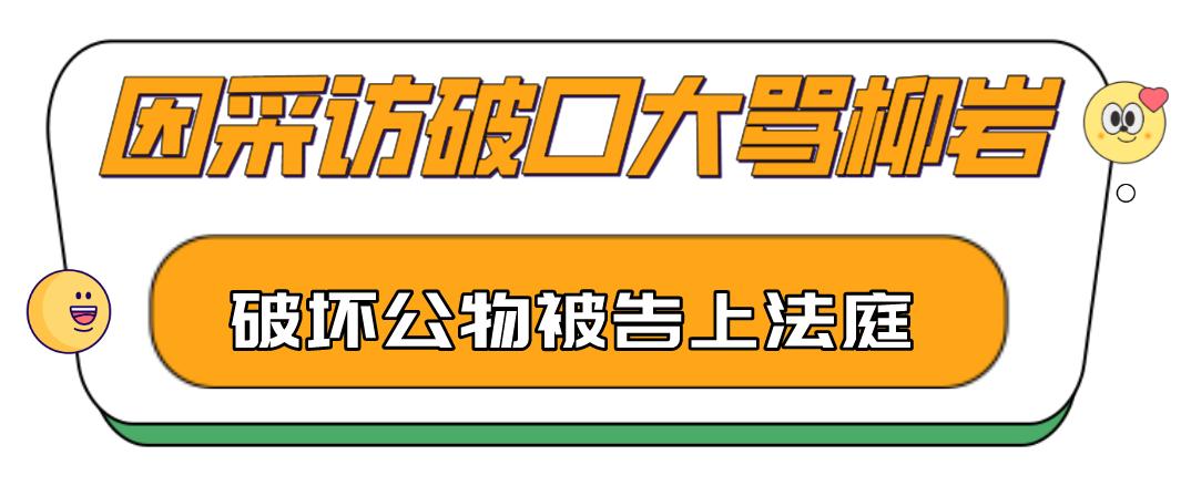 如何看待陈凯歌对柳岩发怒,陈凯歌怒斥柳岩