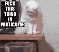 二十岁人生不能错过的十部电影,十部让人顿悟的电影