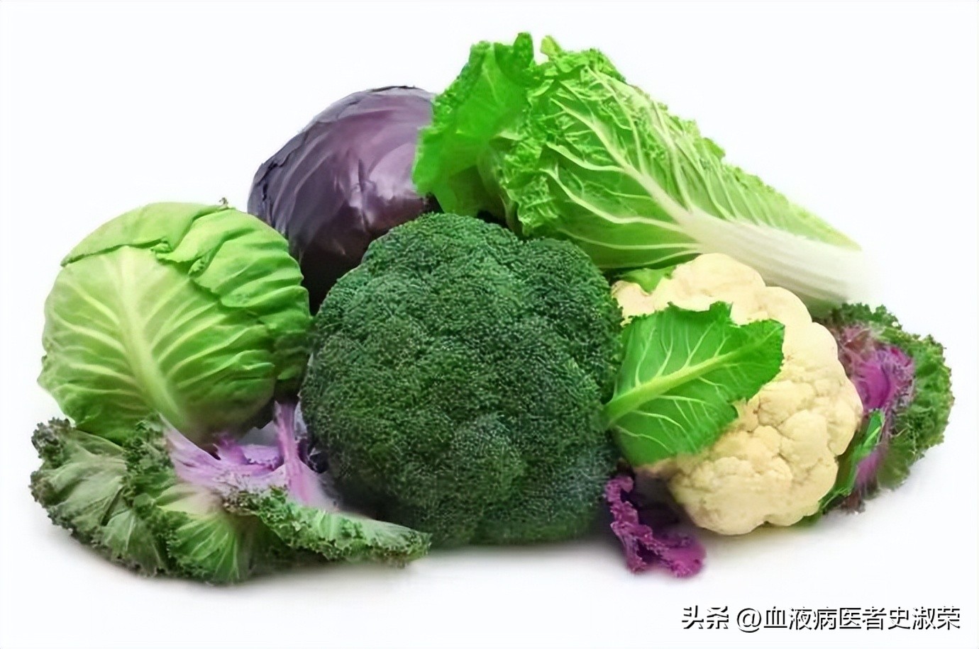 史淑荣医生：白血病患者可以多吃这几类食物