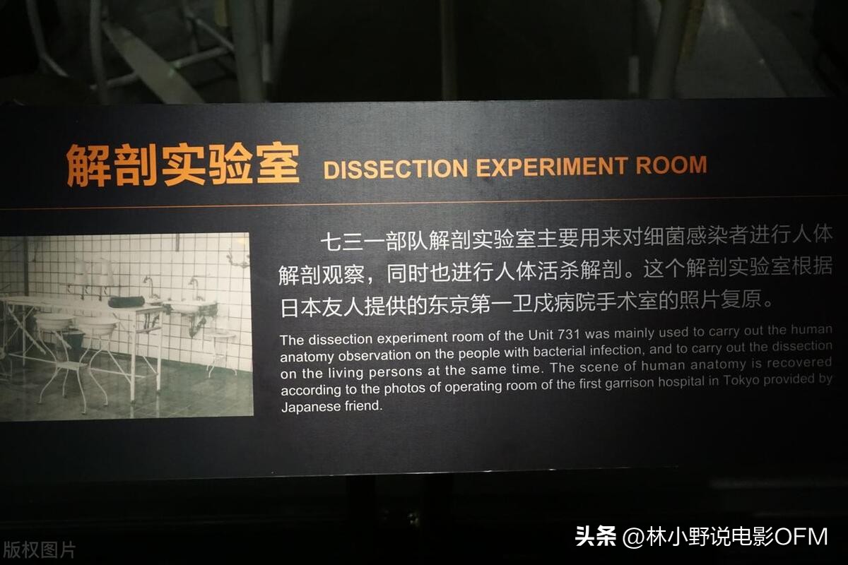 从三船敏郎那里借来的“真由美”，《追捕》幕后的20个冷知识