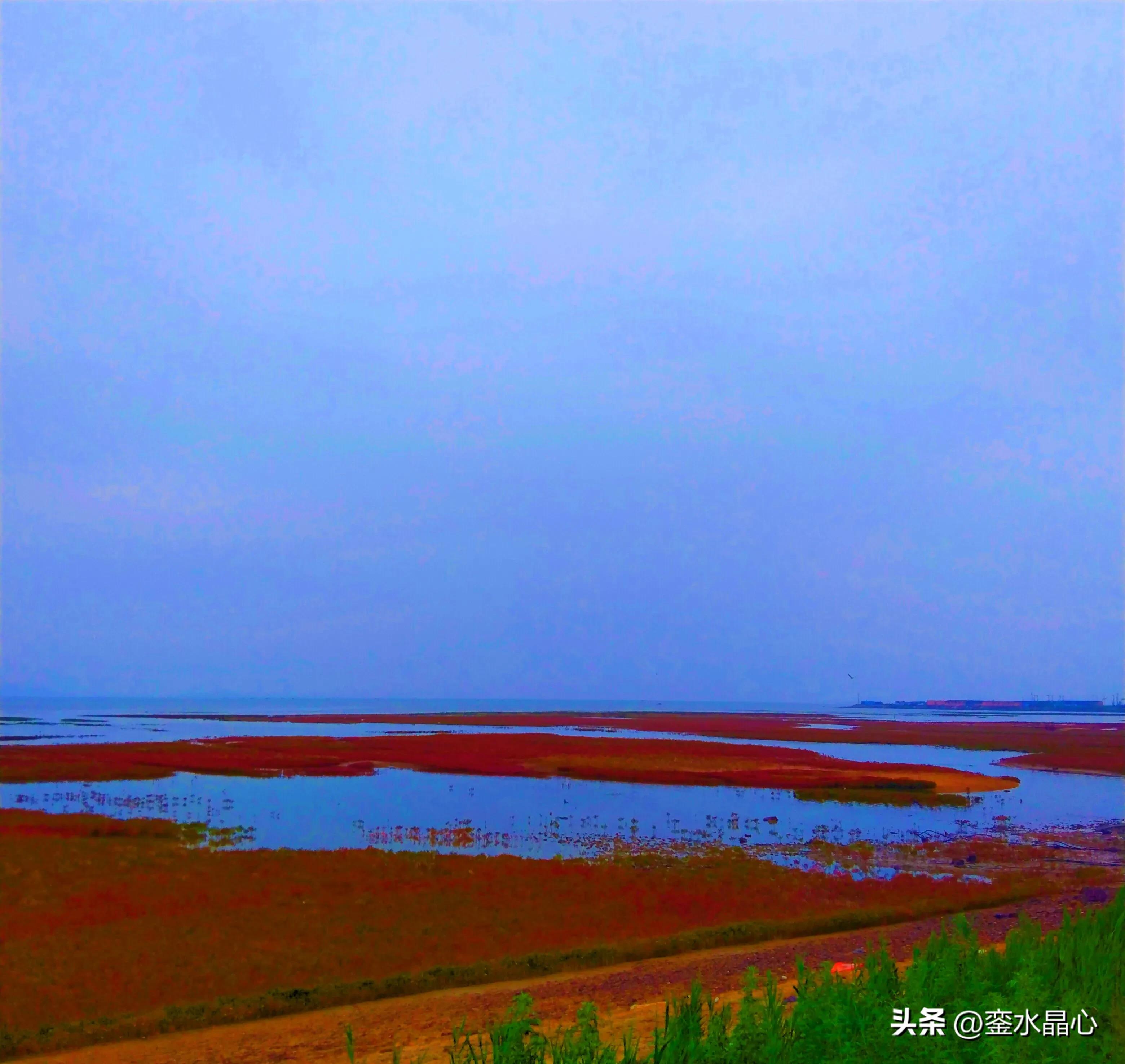 兴城红海滩值得去吗,兴城红海滩十月一日去红吗