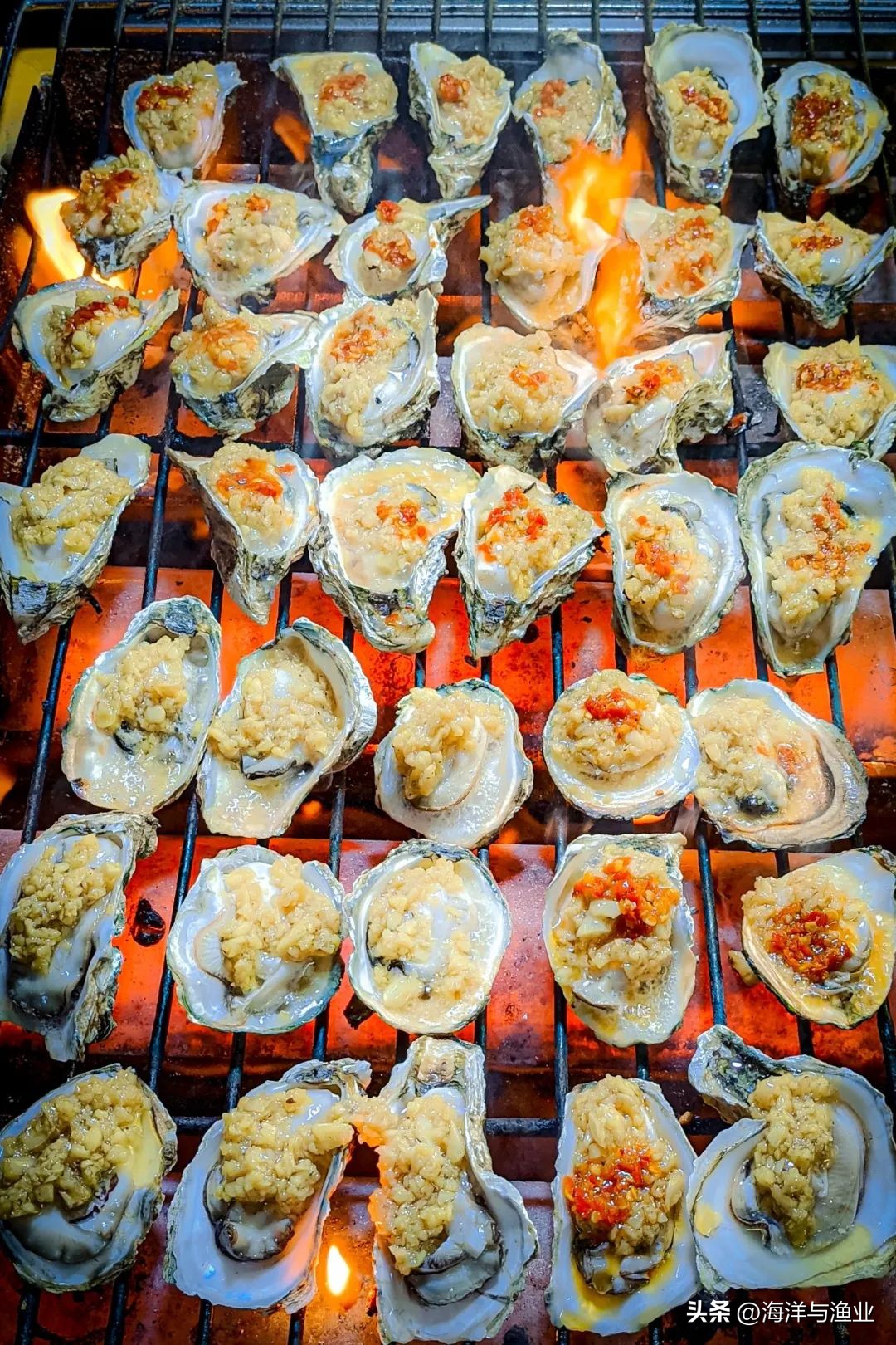 中国渔业海鲜之都,海鲜水产哪几个地方最出名