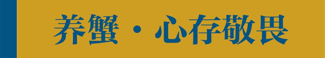 高邮湖的螃蟹怎么样,高邮湖螃蟹多少钱一斤