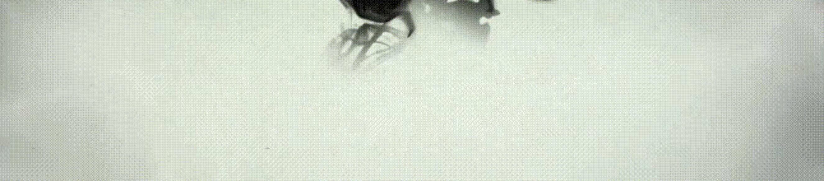 忻东旺金奖作品油画,忻东旺油画作品赏析