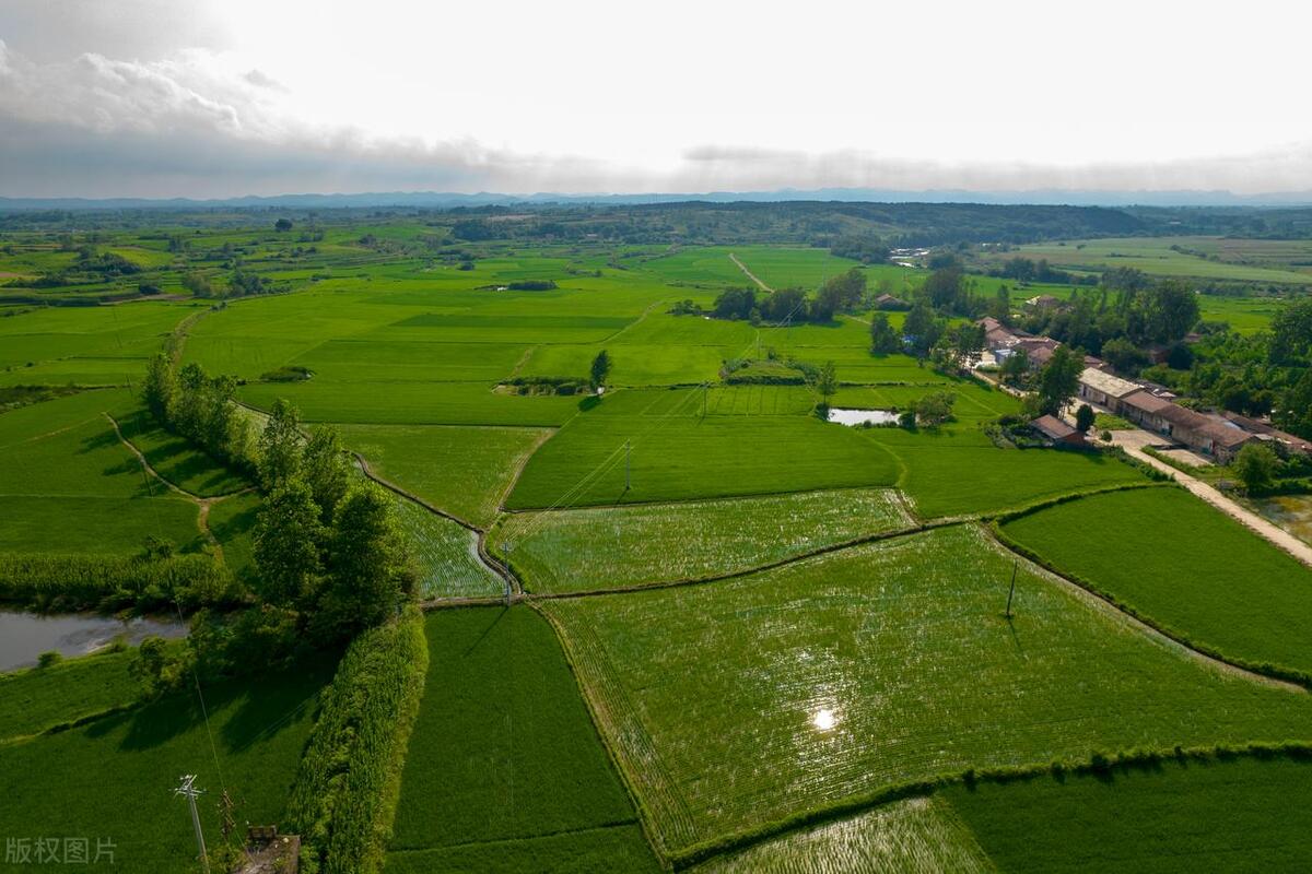 促进农业现代化同步发展,促进农业现代化建设的大学专业