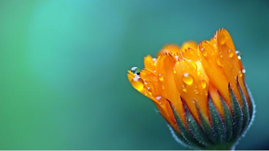 最能赚钱的四大星座,最容易赚钱的五大星座