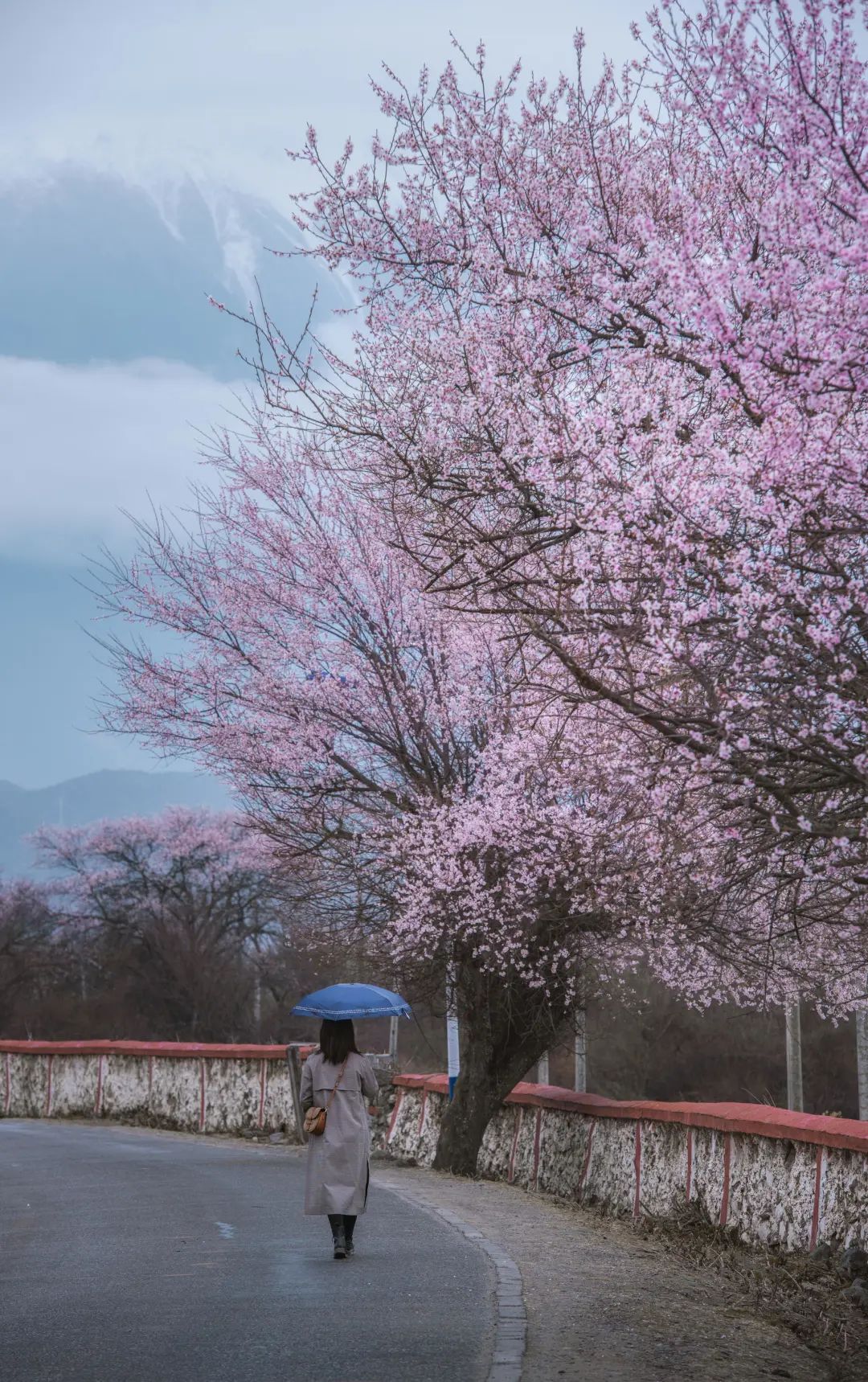 龙泉山看桃花徒步最佳路线,徒步穿越十里桃花漫山遍野