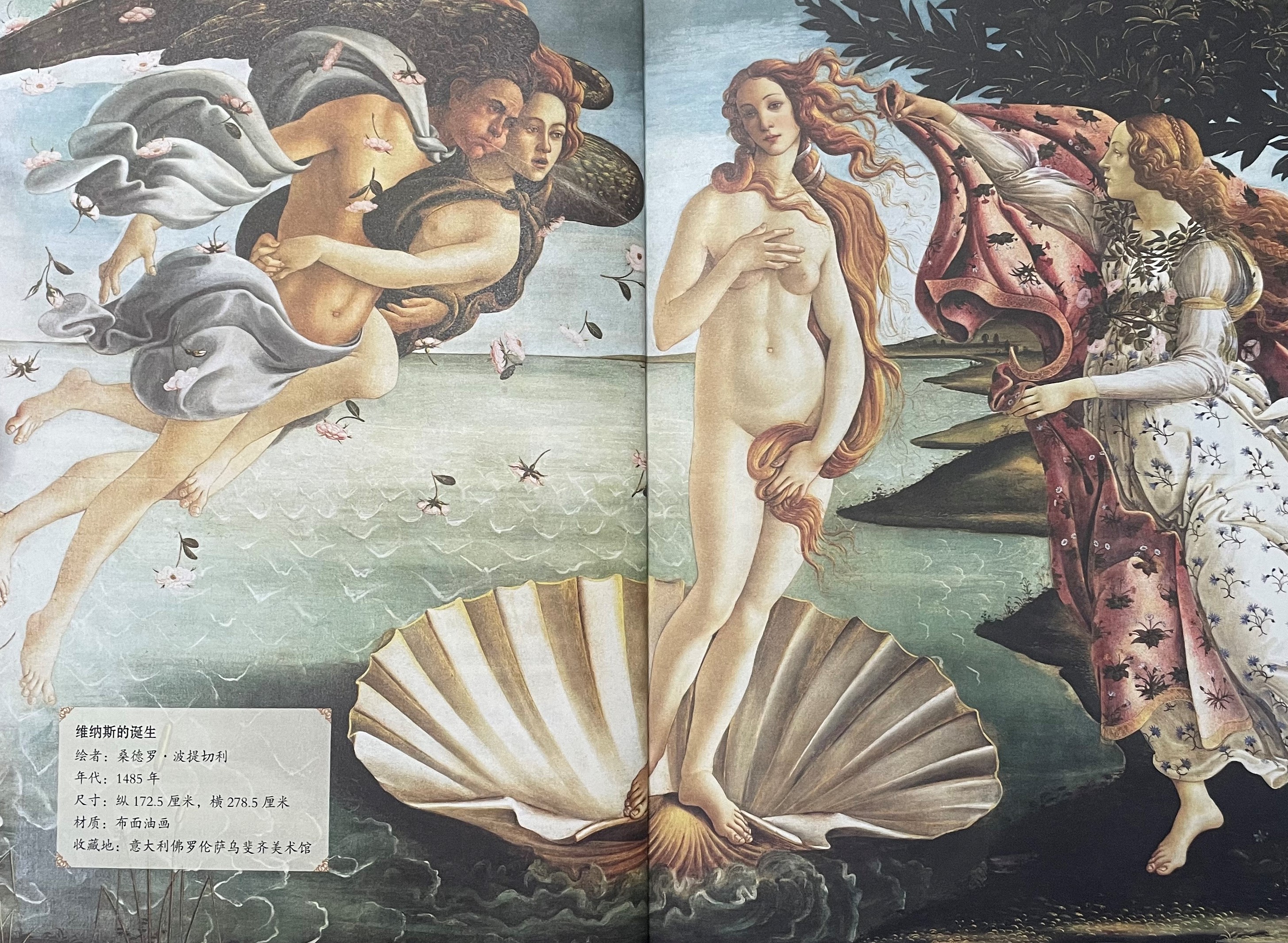 爱神维纳斯的来历,雅典爱神维纳斯