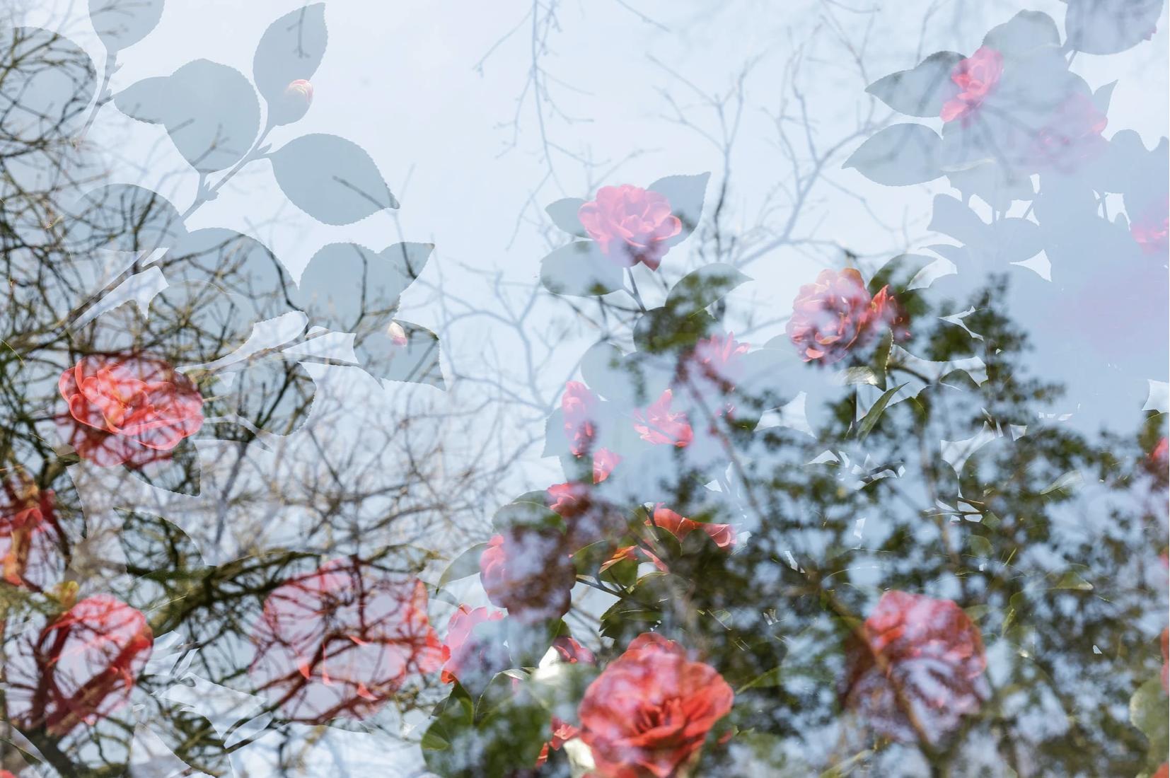 你有没有埋怨过自己的父母没钱,你们有没有嫌弃过自己父母