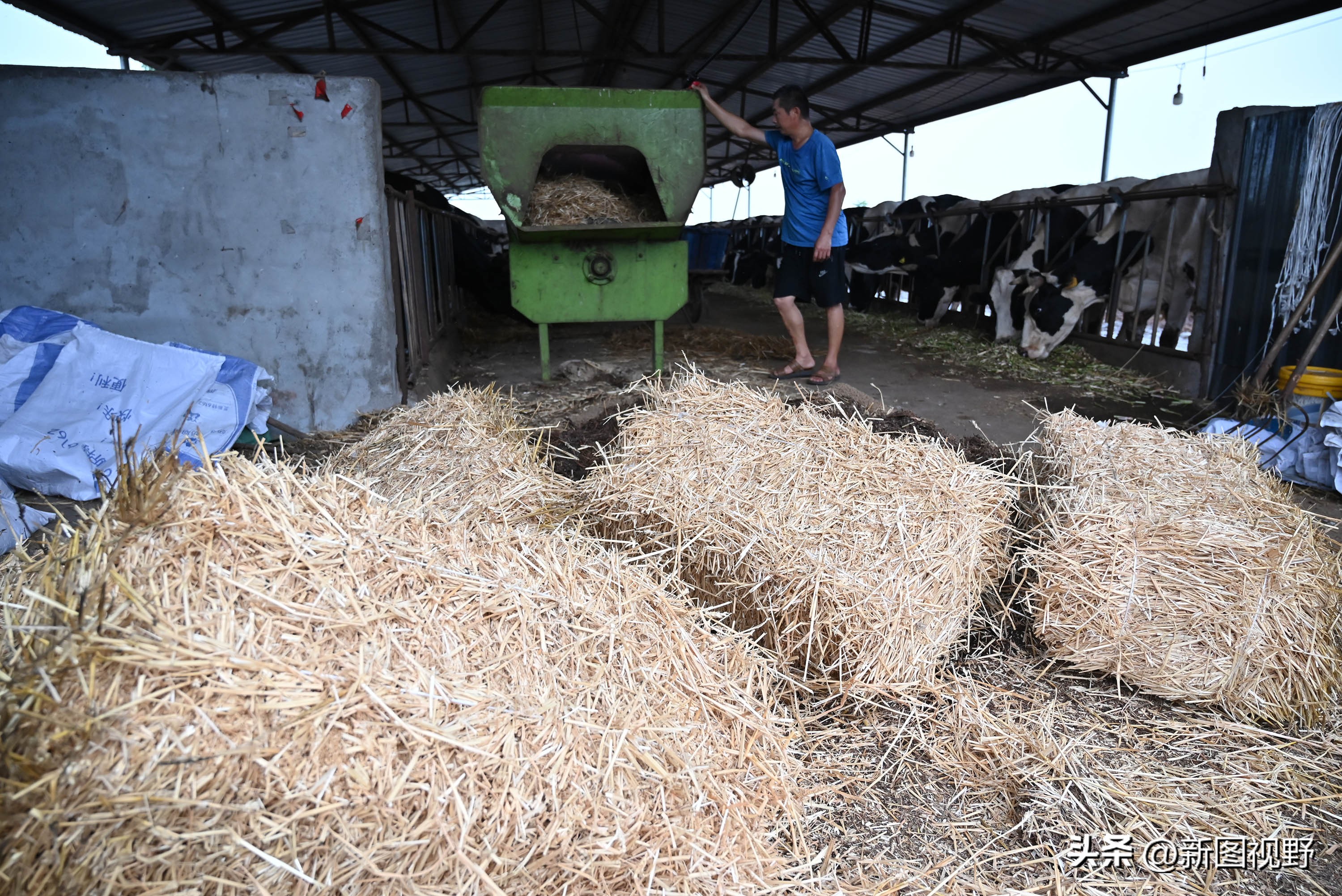 夫妻做的暴利生意,夫妻俩做生意赚3亿