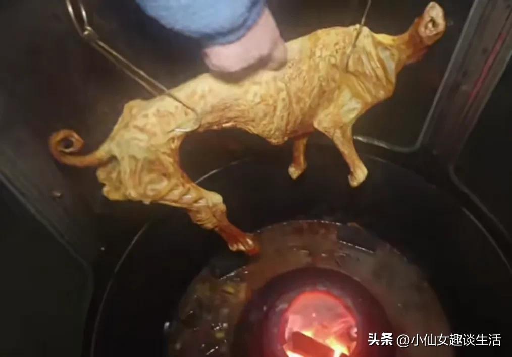 康大飞烤全羊后续回应,康大飞烤全羊是哪家店