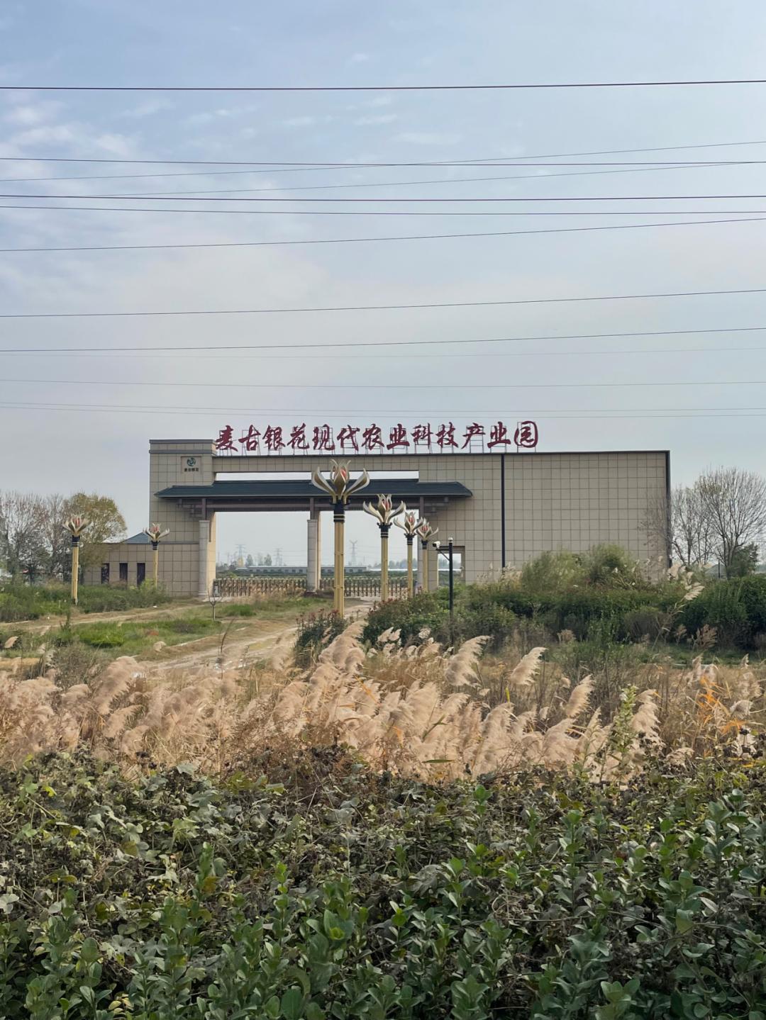 环渤海湾骑行记,环山东骑行日记青岛平度市