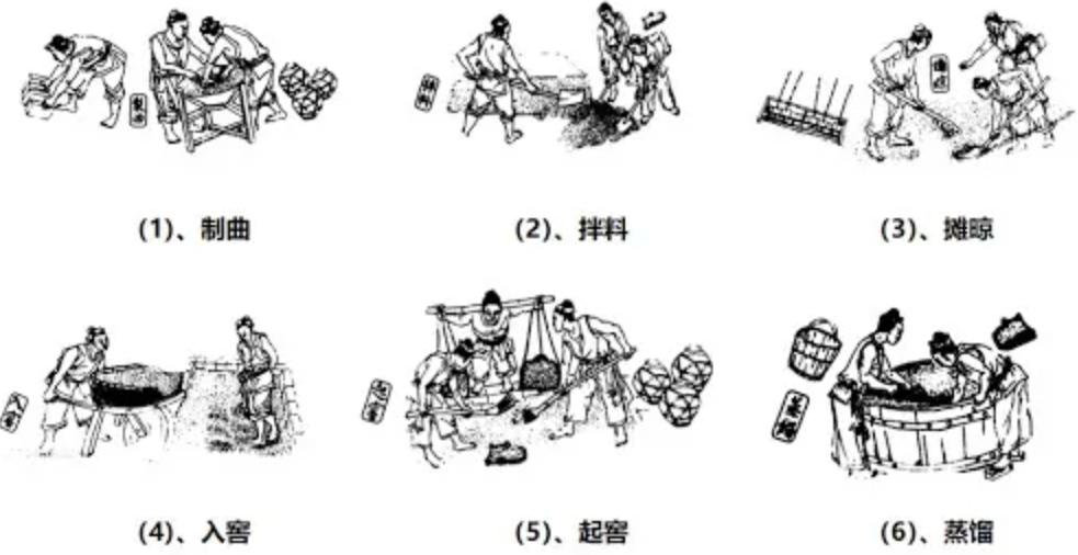 全球不足百头的动物,全球数量不到100只的动物