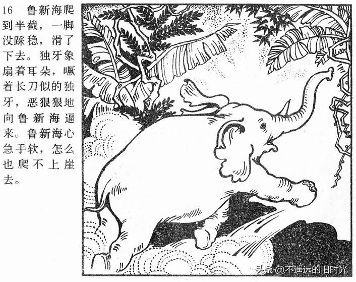 大象搬家,大象搬家河北