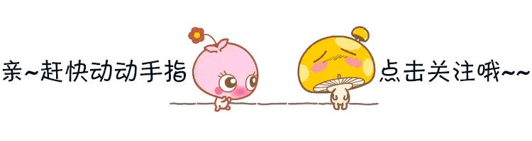 从前的日子都很慢,从前日子过得慢