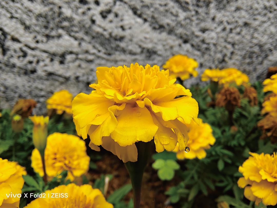 vivoxfold2深度评测值得买吗,vivo大折叠xfold2白色