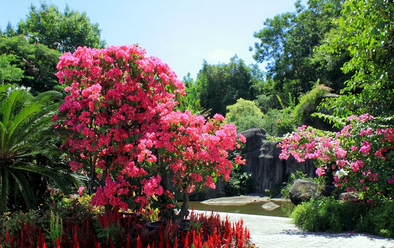厦门带孩子去哪里玩,厦门带女朋友去哪里玩