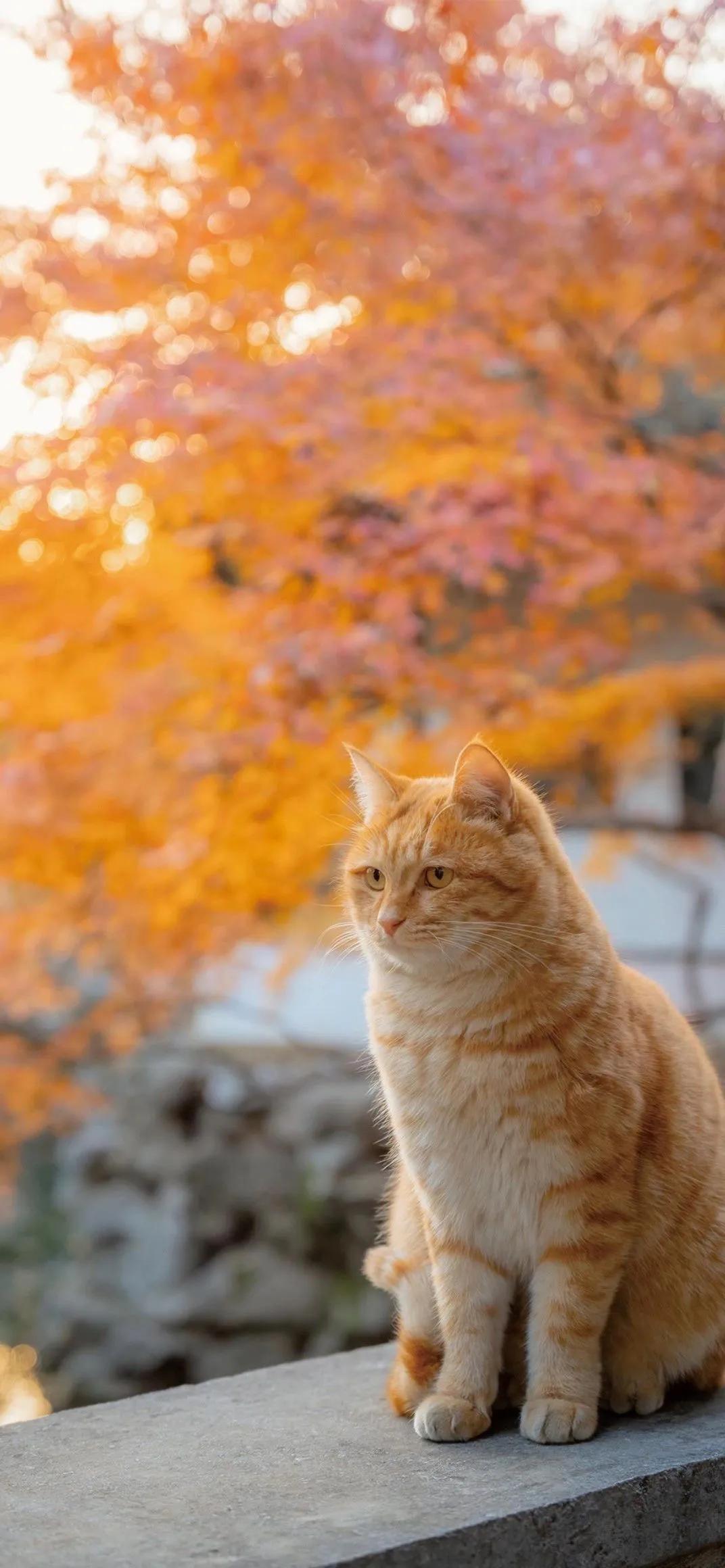 银行资管业务有哪些,银行资管盈利模式重塑