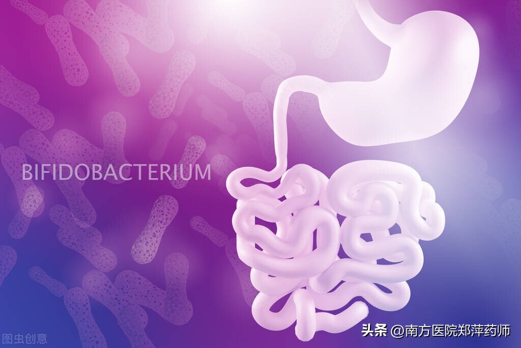 您知道这么多益生菌的产品，它们之间有什么区别吗？