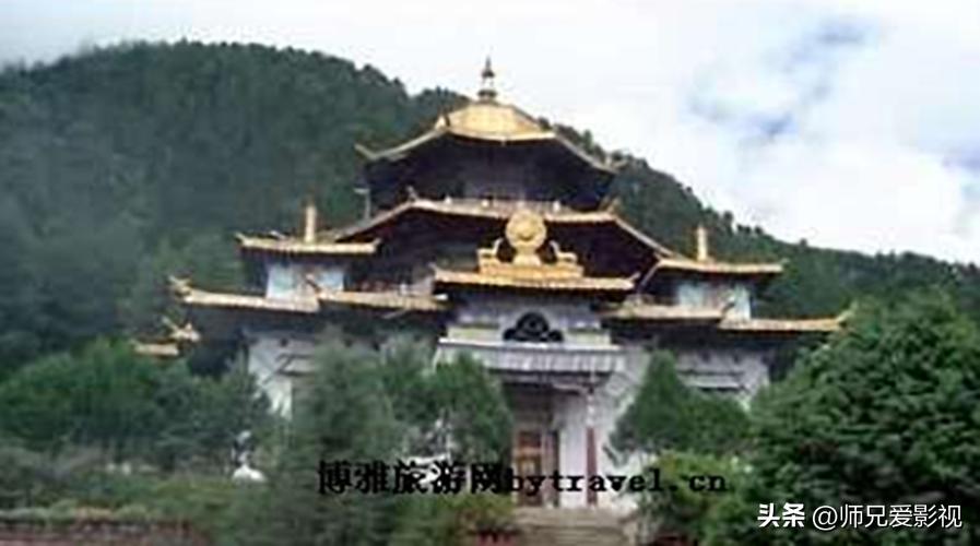 雅江松茸之乡完整视频,雅江松茸之乡山清水秀