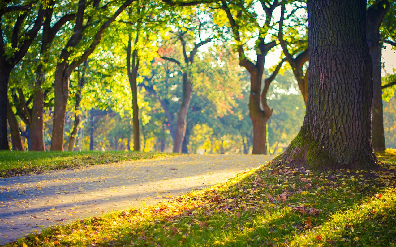 甲状腺结节4a类可以保守治疗么,王女士甲状腺结节