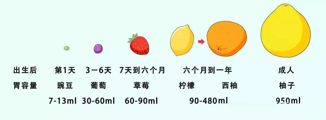 2个月大的宝宝怎么避免过度喂养,六个半月的小孩怎么才能喂得胖