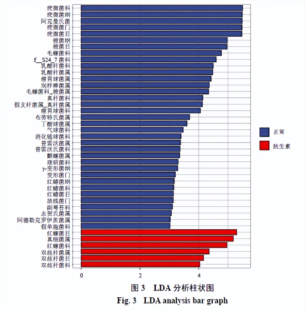 肠道菌群介导的酸枣仁总黄酮体内代谢轮廓研究