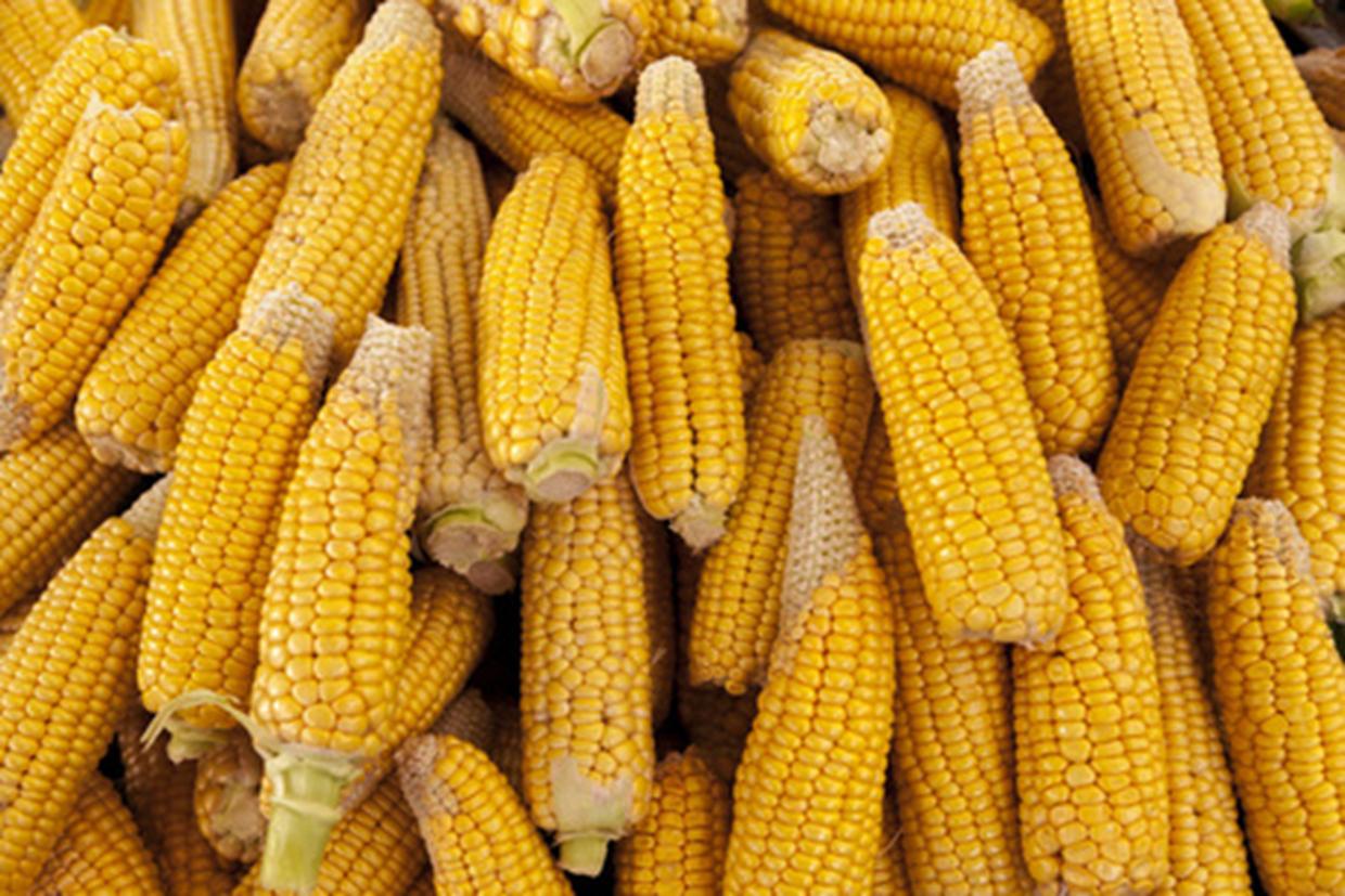 再给美一记重拳？中国大量退订美国订单，这次，我国不再客气