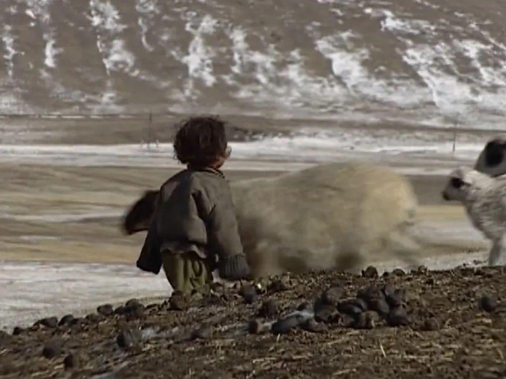 大专课上，老师教我洗澡、避孕、正常做人