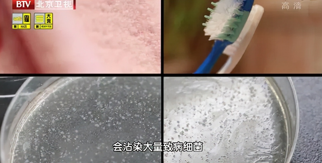 蹲坑和马桶哪种好,蹲坑和马桶哪个容易堵