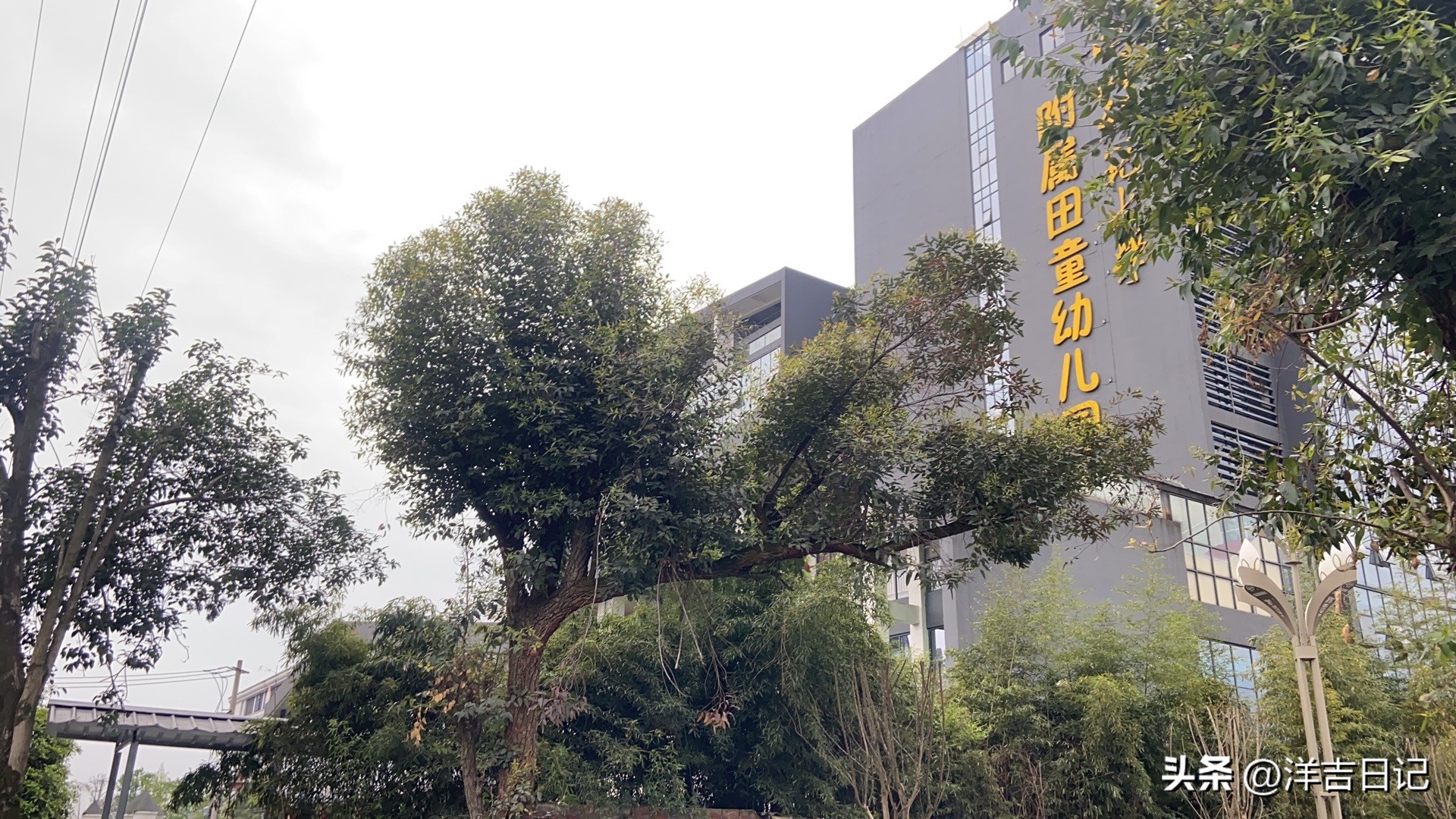 洋吉日记2023.4.4（准备个礼物，我喜欢的鞋子）